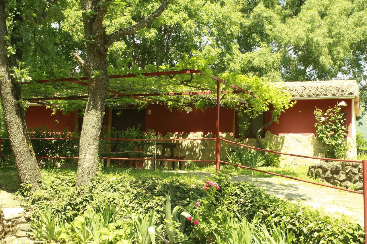 Camping El Pinajarro Hervás Zewnętrze zdjęcie